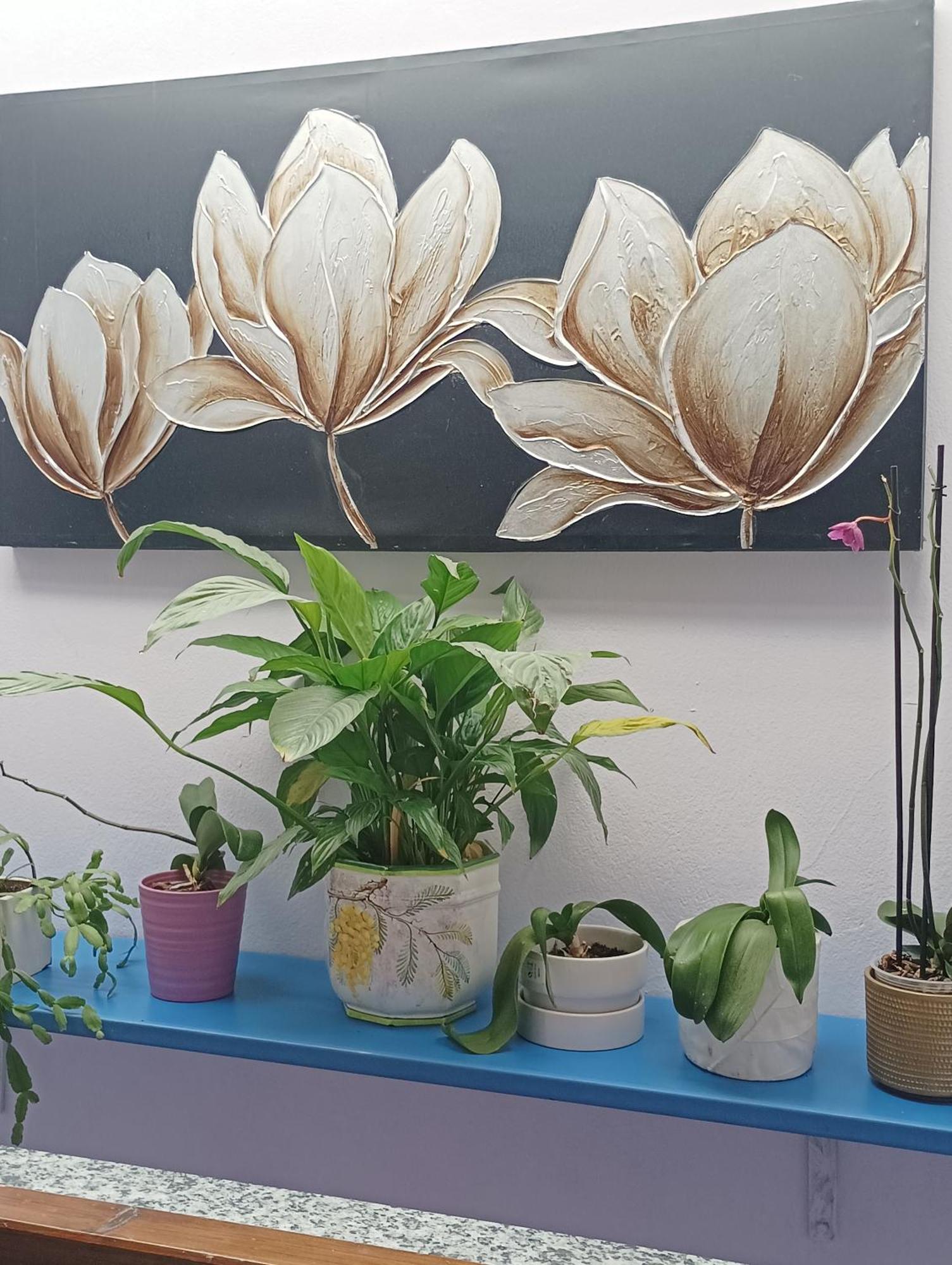 Appartamento Il Giardino Dei Semplici Semplici Bonate di Sopra Bagian luar foto